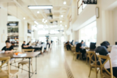 Yurtdışı Üniversite Lisans Programları